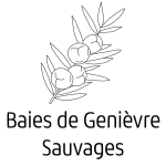 image pictogramme visuel symbole genievre baies de genevrier lucifeves aubrac