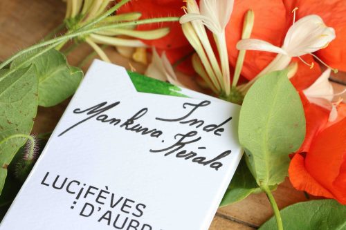 tablette de chocolat noir inde mankuva idukki kerala lucifeves d aubrac